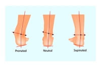 Effects of Foot Pronation